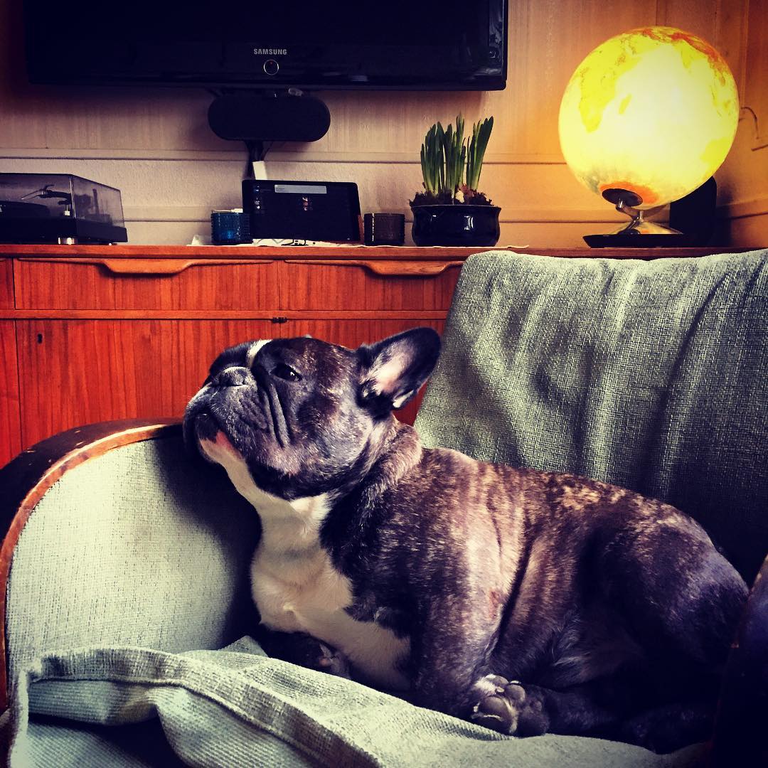 Husse jobbar hemifrån.