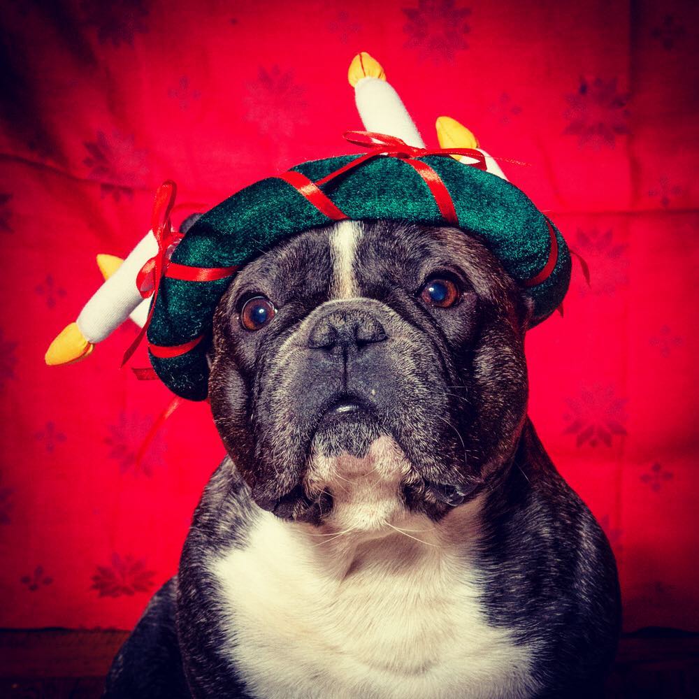 Glad lucia.