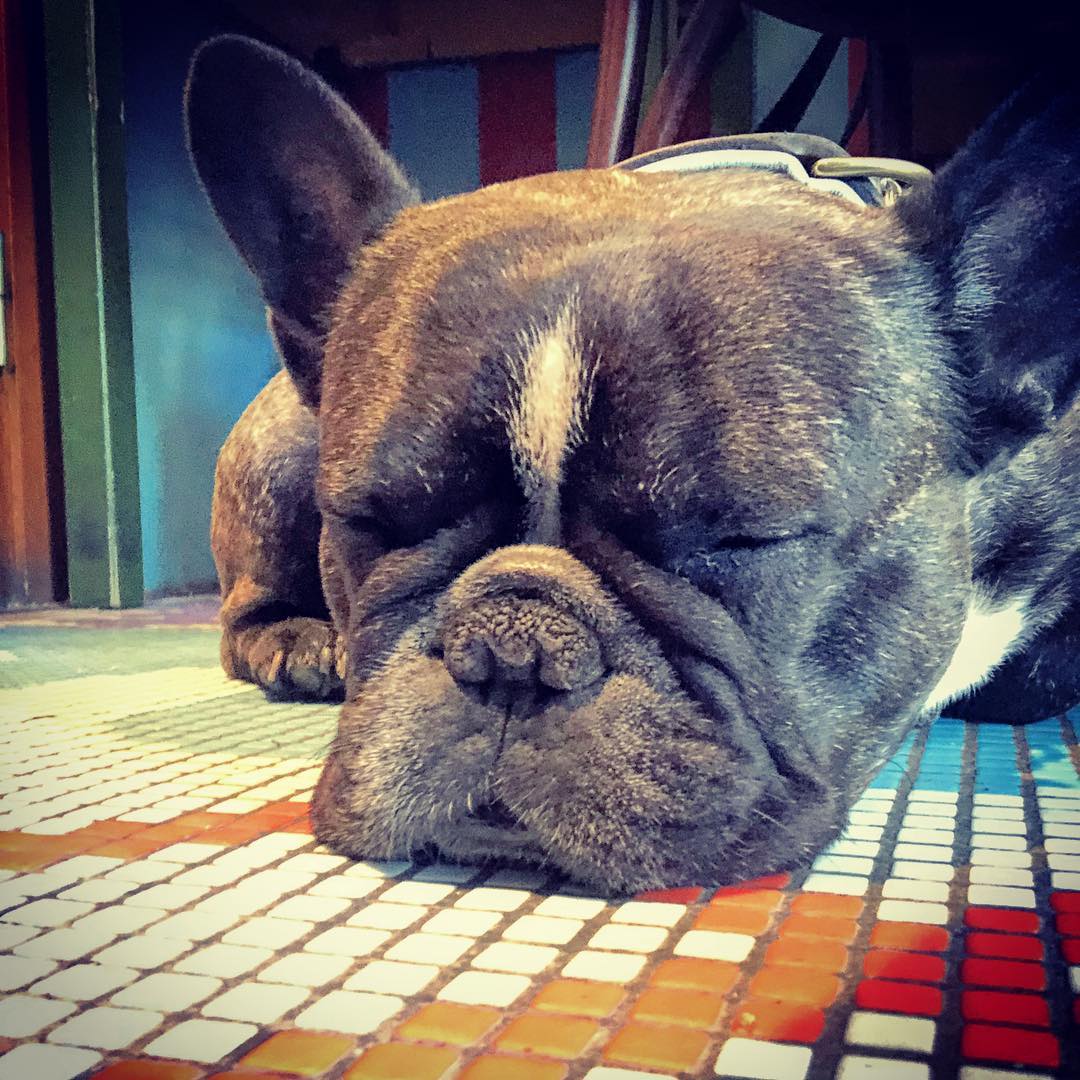 Husse glömde nycklarna, jag fick gå på café.
