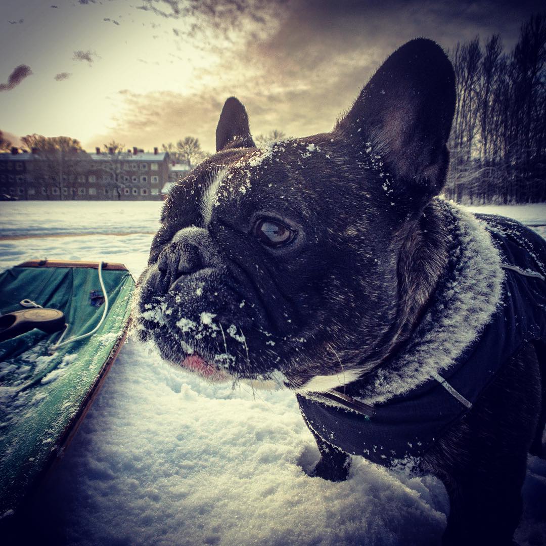 Vinter.