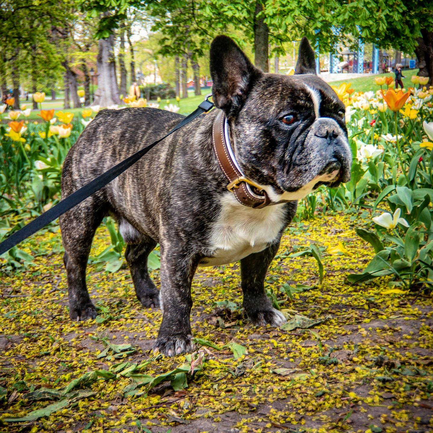 @valterwistbacka i Humlegården.