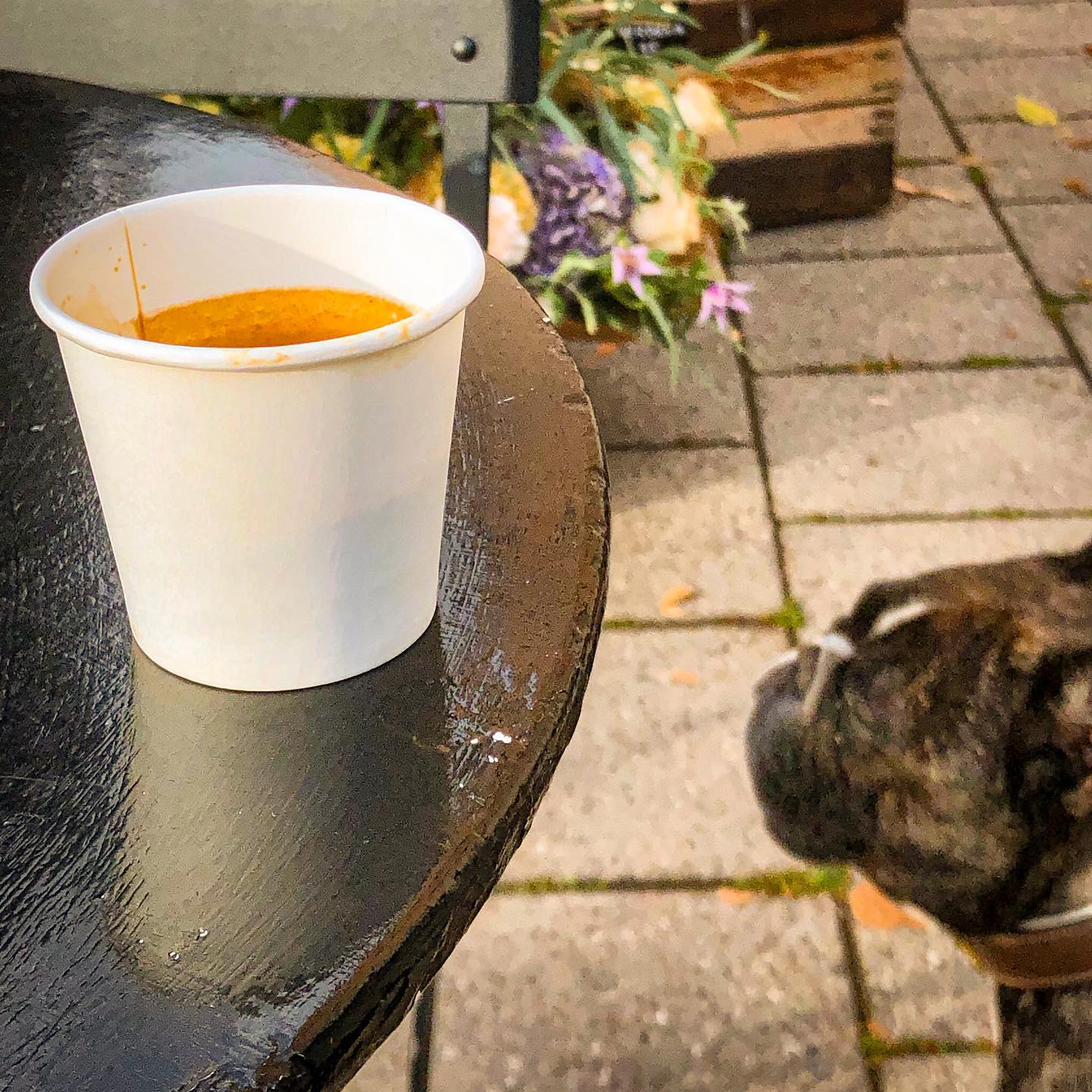 Espresso med @valterwistbacka på @petit.marche.sthlm