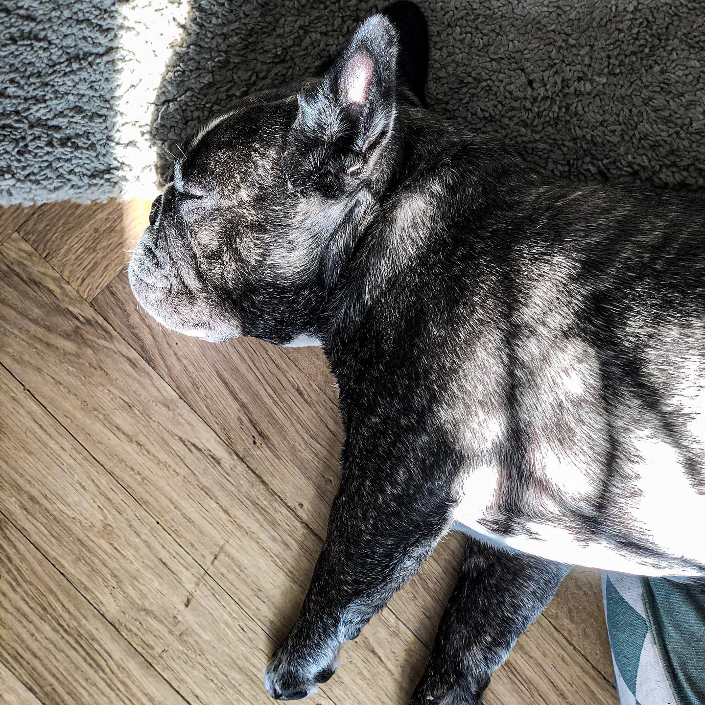 Sunshine.