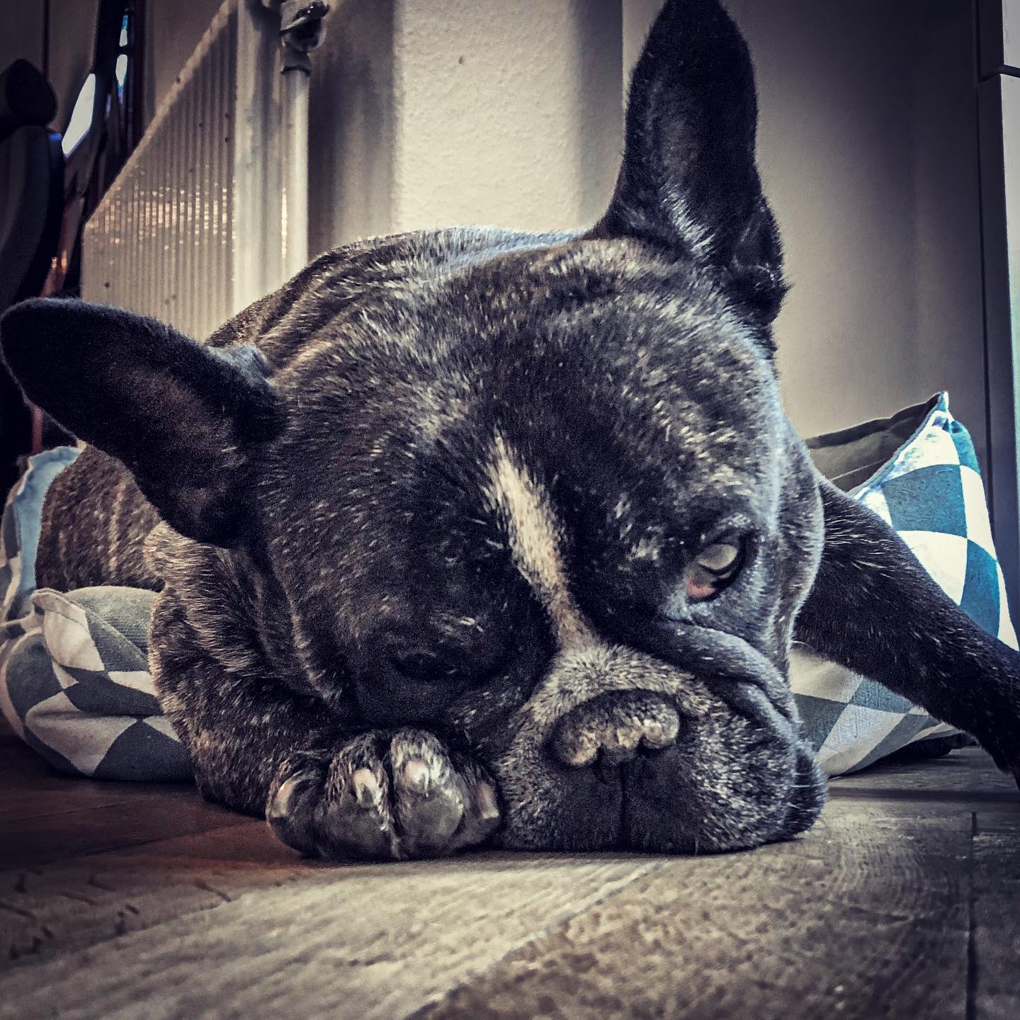 Måndag med