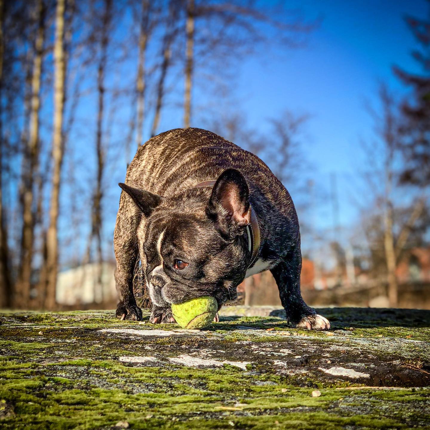 och boll.