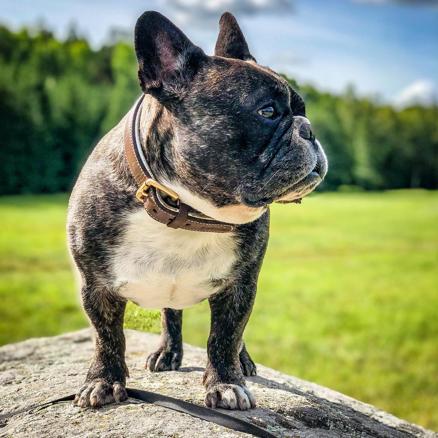 på promenad