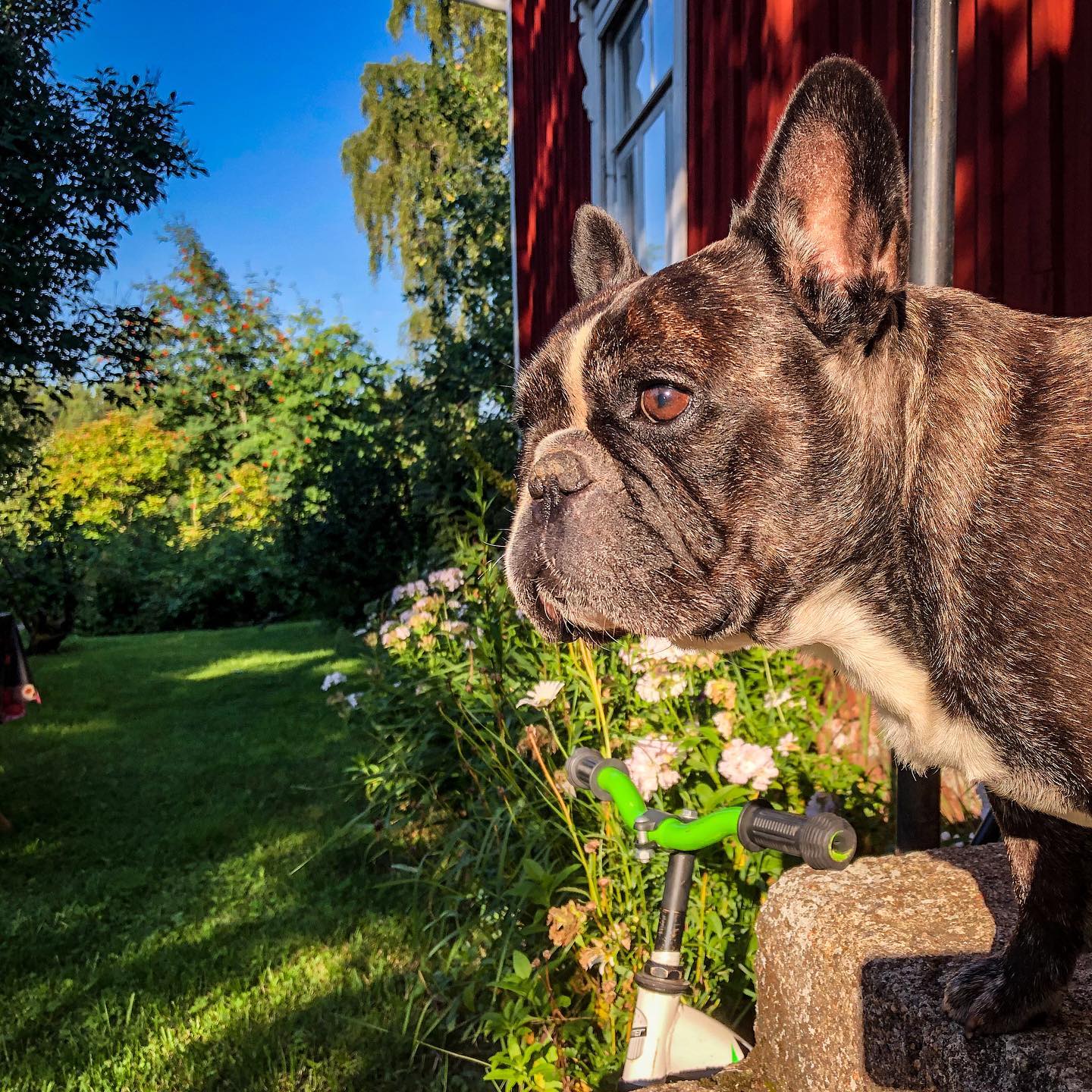 på trappan.