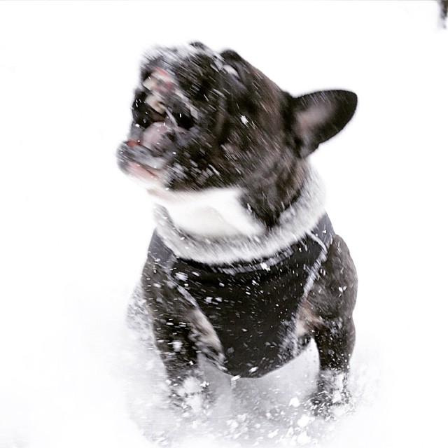 Snow monster in action.