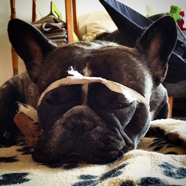 The cool dude.