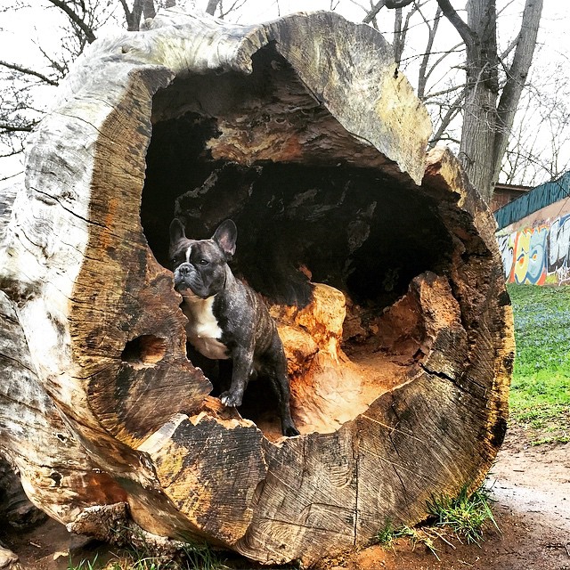 Peek-a-boo!