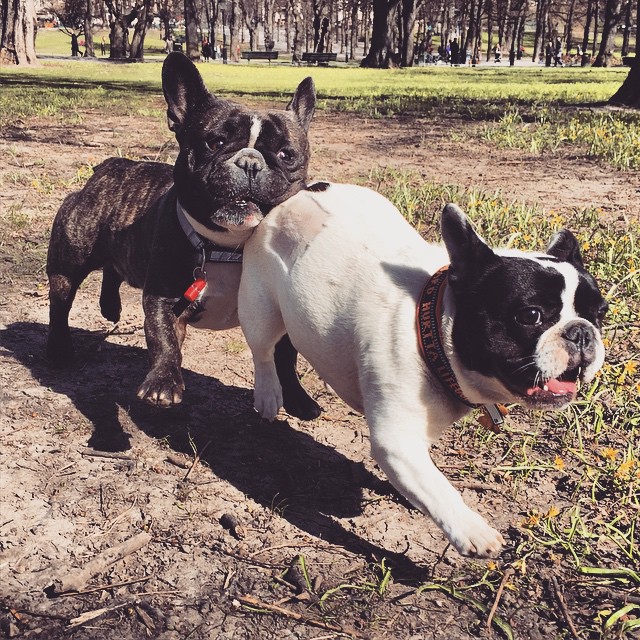 Spring! Girls! Sunshine!