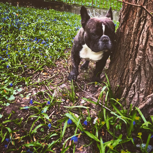 Spring time!