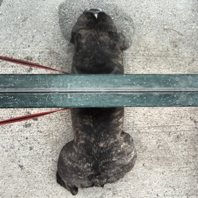 Waiting for the bus.