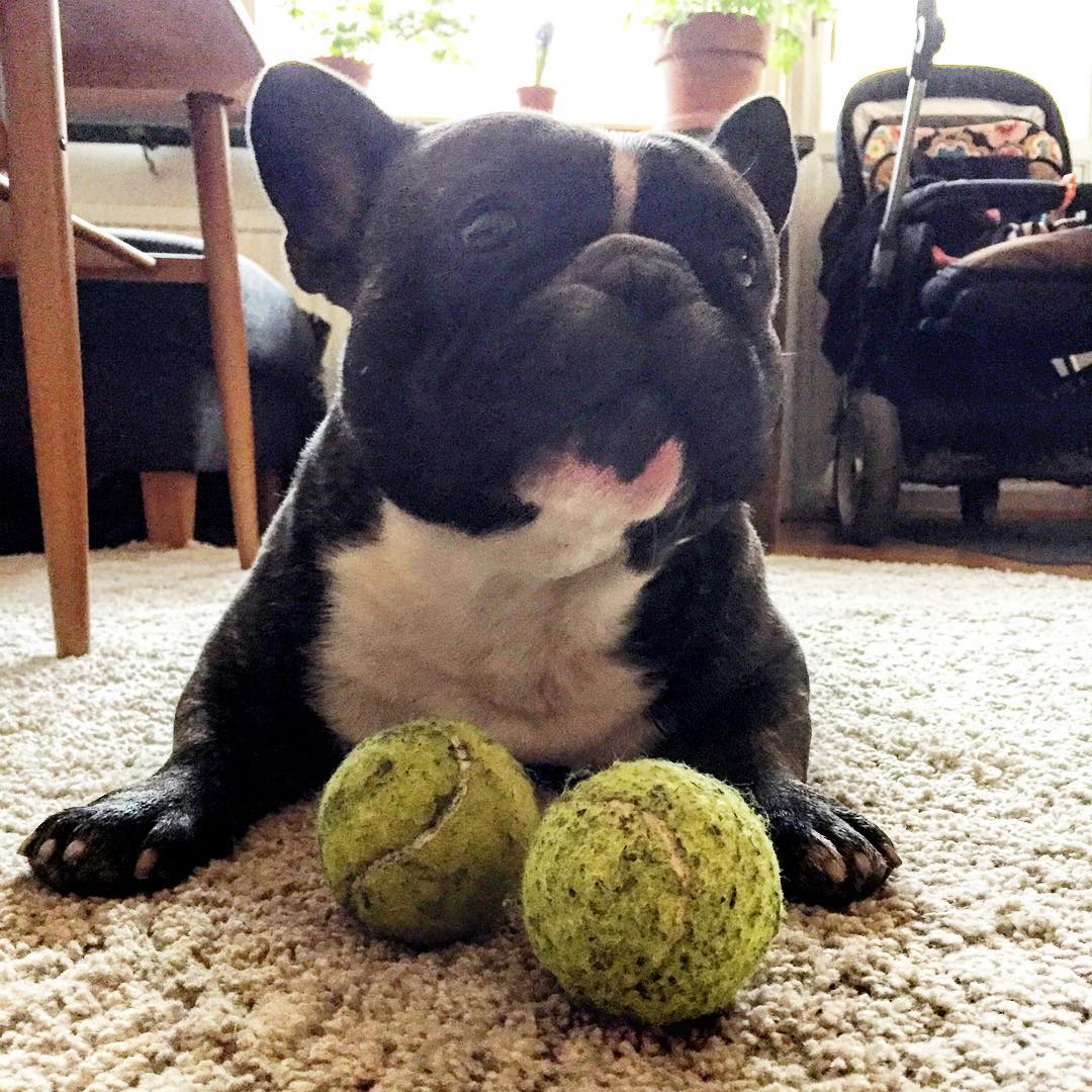 I got the balls!