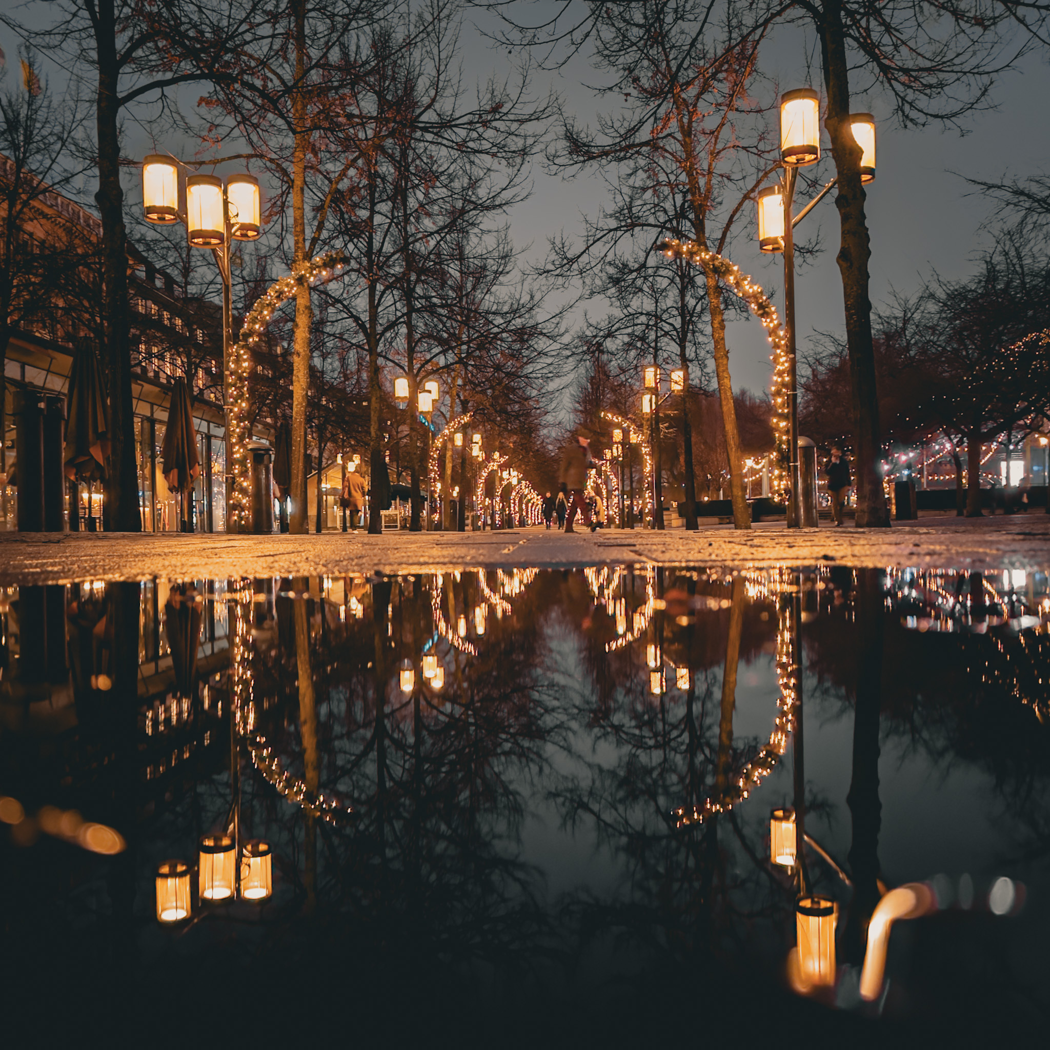 Kungsträdgården